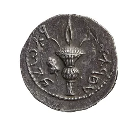 Moneda provincial romana de plata de Judea, AD 132